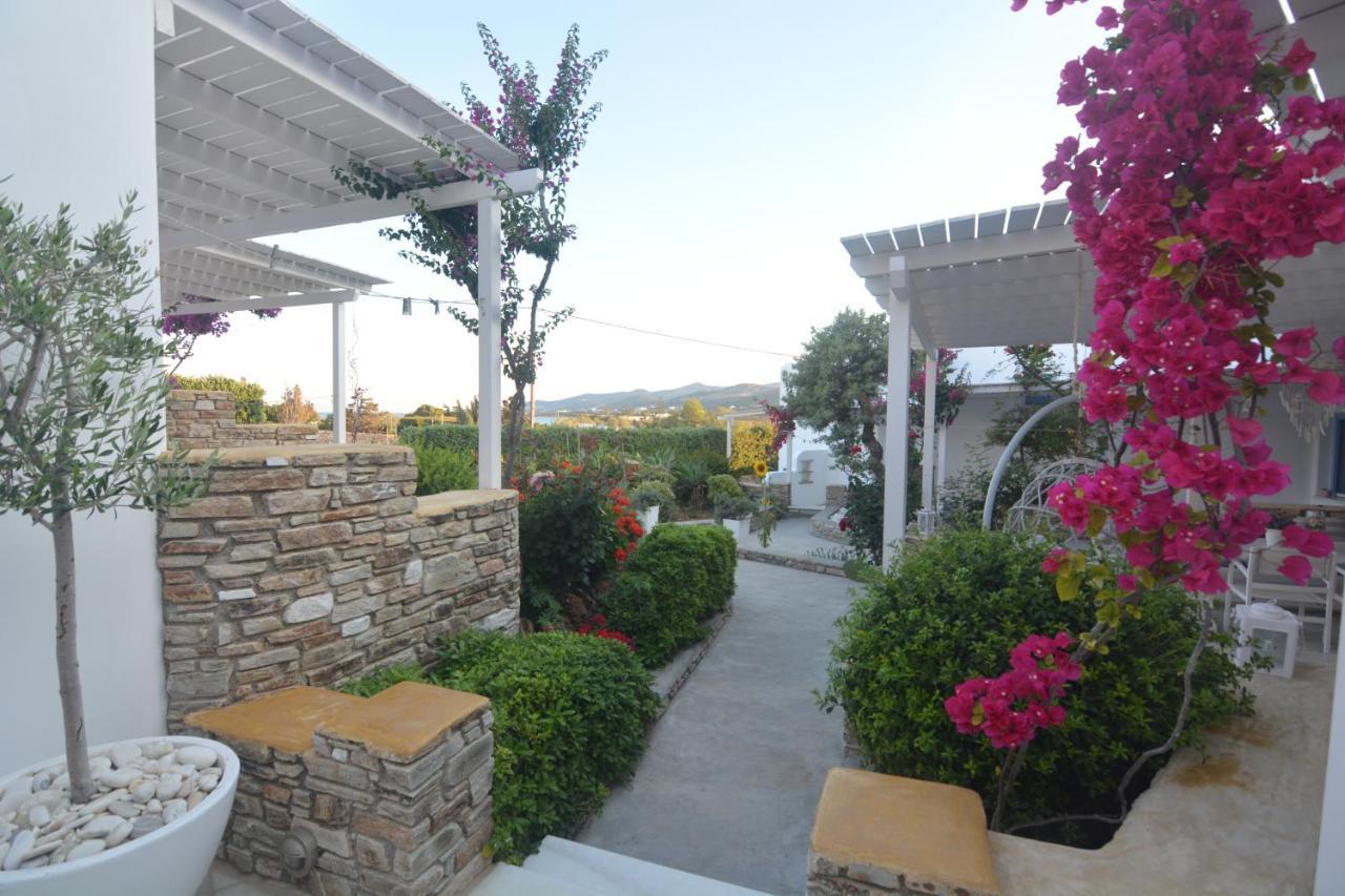 Thalasea - Village Antiparos Town المظهر الخارجي الصورة