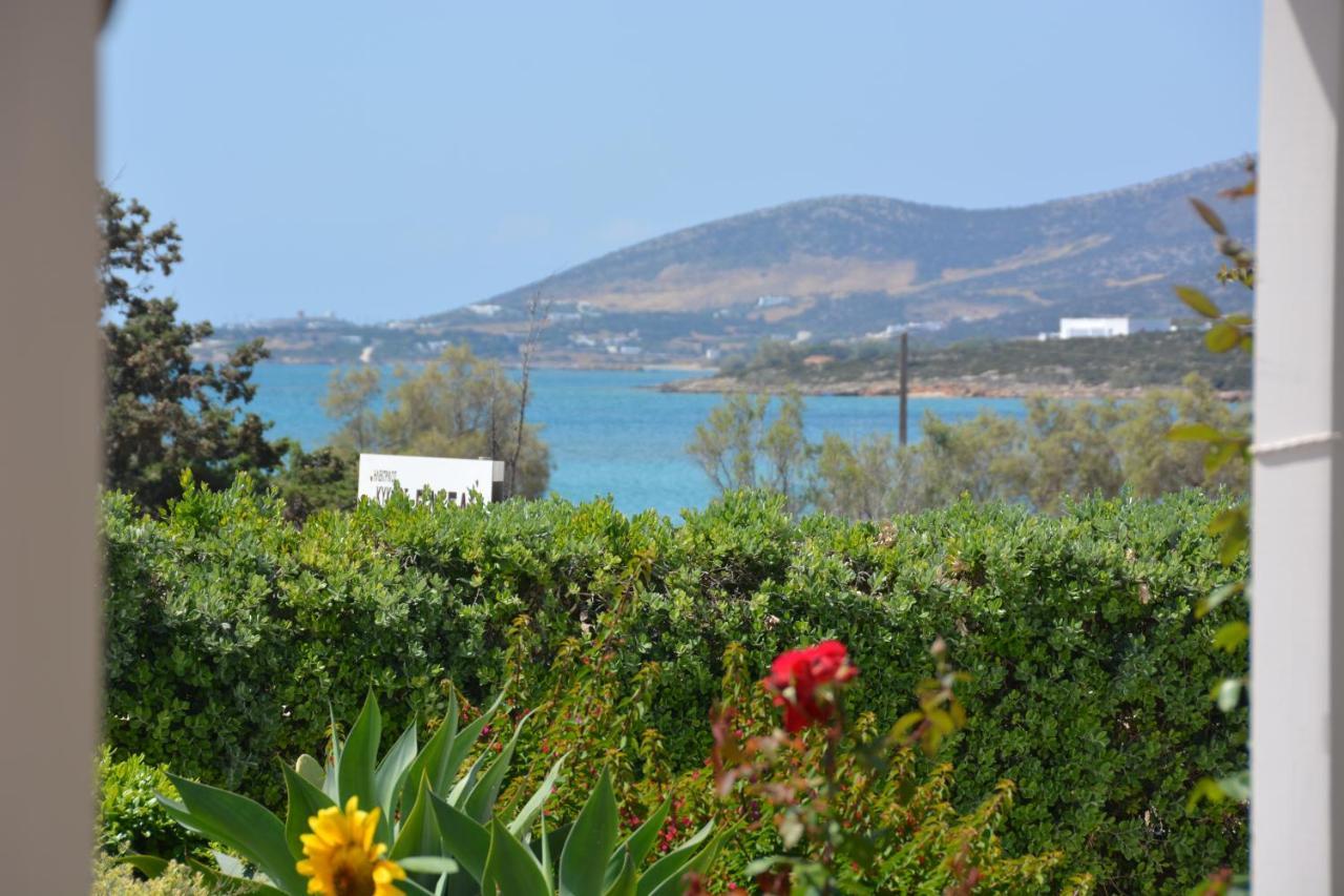 Thalasea - Village Antiparos Town المظهر الخارجي الصورة