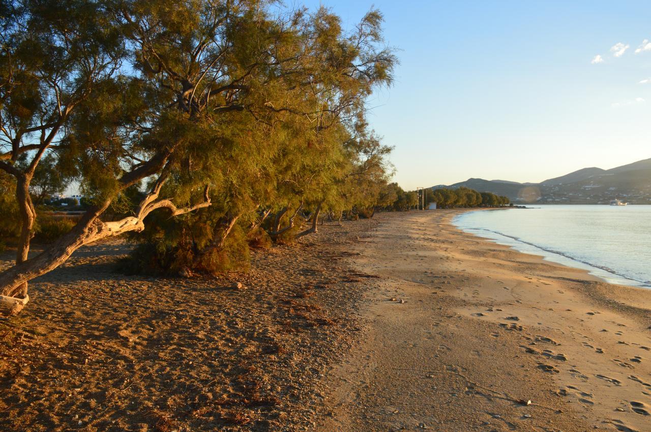 Thalasea - Village Antiparos Town المظهر الخارجي الصورة